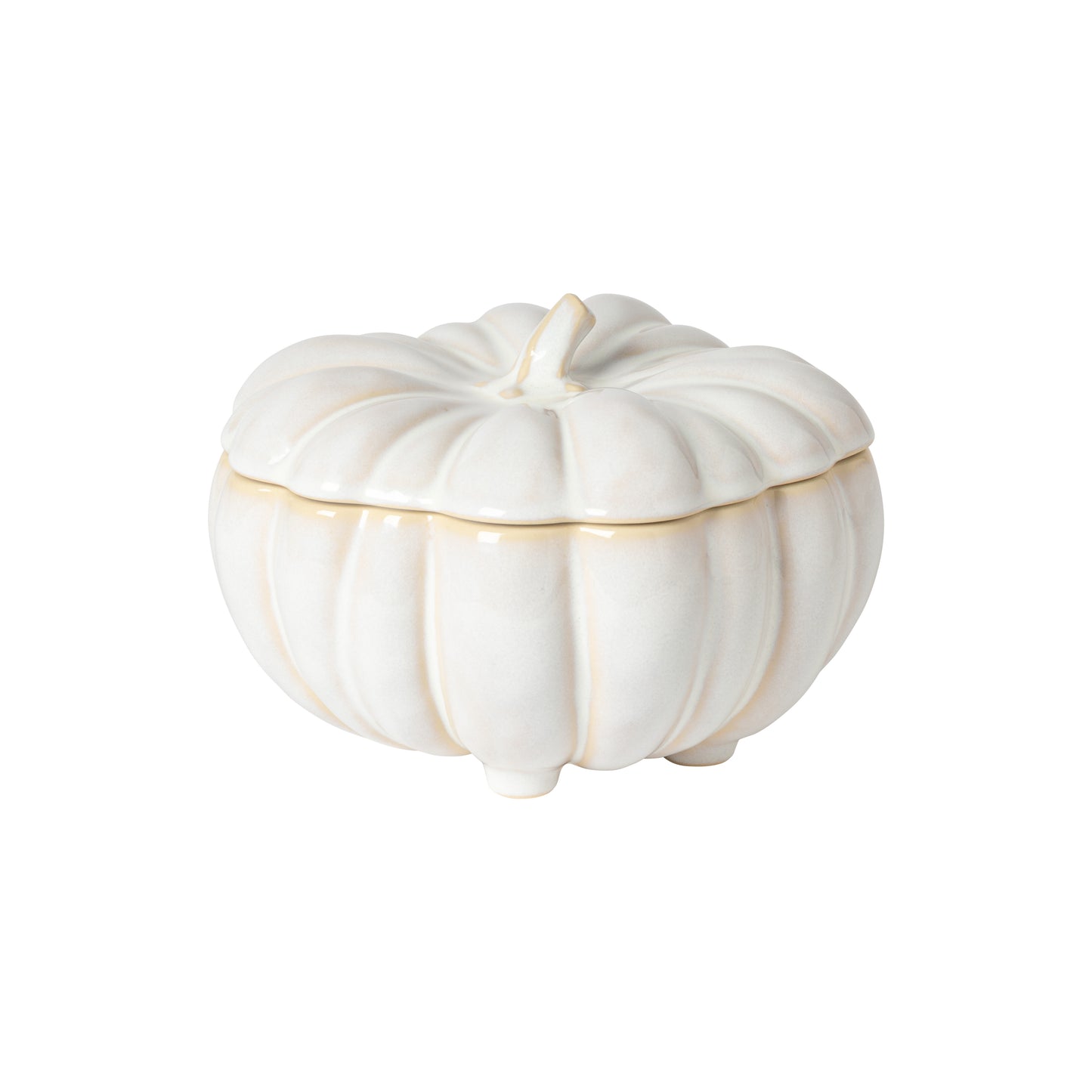 Pumpkin Casserole Silvina