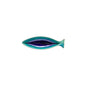 Small Cavala (Mackerel) Dori
