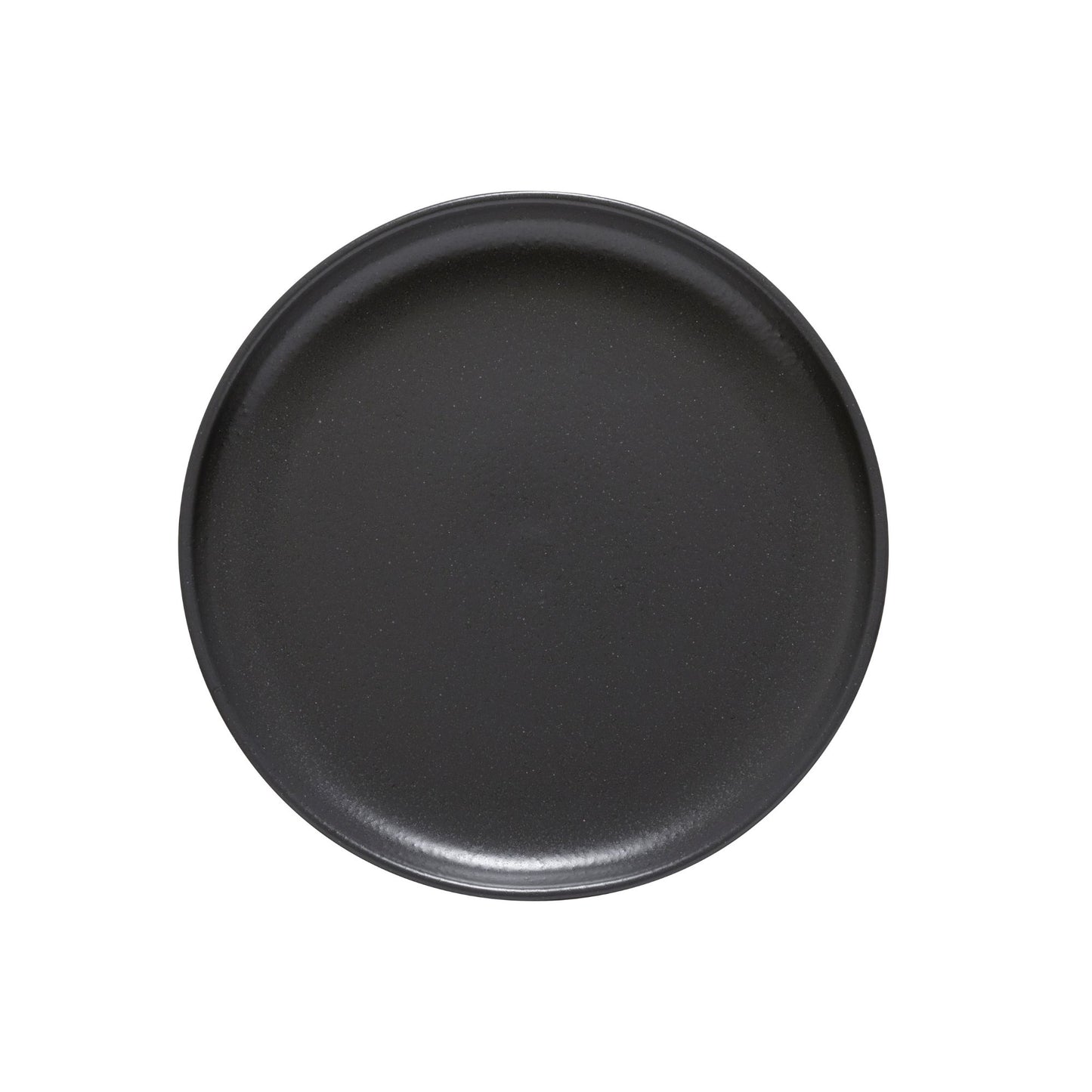 DINNER PLATE 27 PACIFICA