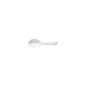 Ramen Spoon Pacifica