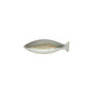 Small Cavala (Mackerel) Dori