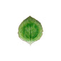 Hydrangea Leaf Riviera