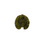 Alchemille Leaf Riviera