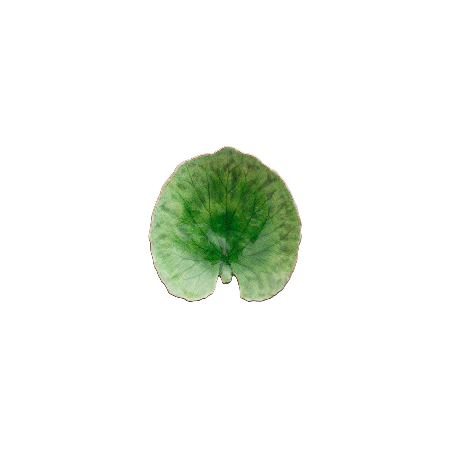 Alchemille Leaf Riviera