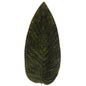 GIFT STRELIZIA LEAF 40 RIVIERA