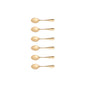 Coffee Spoon 6 Pieces Set Ancestral