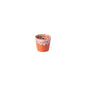 Espresso Cup Grespresso