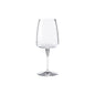 Wine Glass Vine