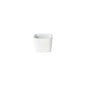 Sugar Bowl Friso