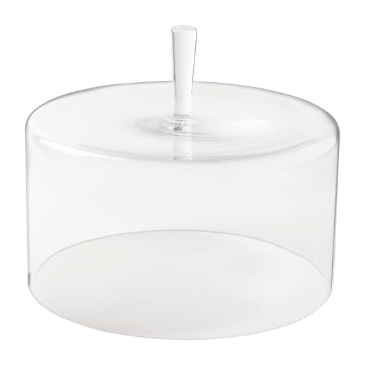 Large Glass Dome Coupole