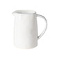 Pitcher Livia