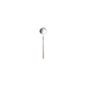 Tea Spoon Mito