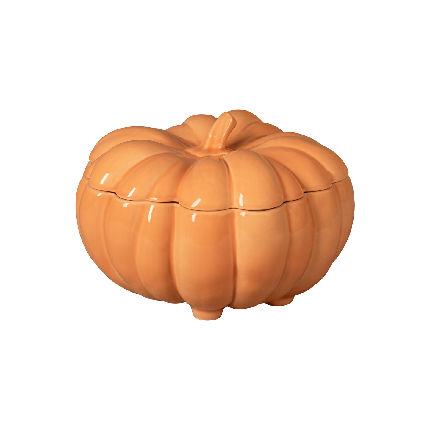 Pumpkin Casserole Silvina