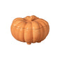 Pumpkin Casserole Silvina