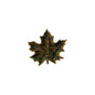 Maple Leaf Forest
