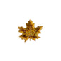 Maple Leaf Forest